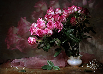 Still Life, Flower, Vase, Rose HD wallpaper