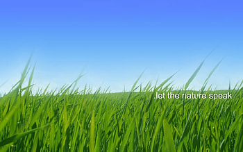 let-the-nature-speak, blue, green, landscape, sky, nature, grass HD wallpaper
