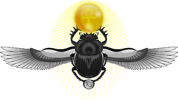 Egyptian Scarab, Intricate design, Cultural significance, Timeless artifact HD wallpaper