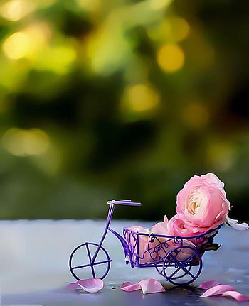 Cute for whatsapp profile pic 20, Whatsapp Dp HD phone wallpaper