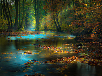 River Sunbeam Autumn , river, nature, autumn HD wallpaper