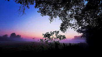 Morning Mist, landscape, trees, colors, sky HD wallpaper