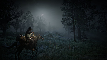 Arthur Morgan - Wild West, Red Dead Redemption 2, Arthur Morgan, wild west, horse HD wallpaper
