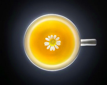 Chamomile tea, black, tea, shamomile, flower, drink HD wallpaper