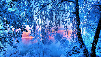Winter at the lake, forest, snow, colors, trees, landscape, sky HD wallpaper