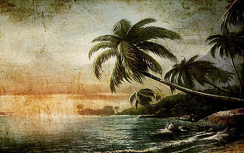 Landscape, Beach, Palms HD wallpaper