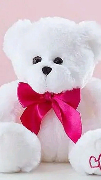 Beautiful Teddy Bear, Soft, White HD phone wallpaper