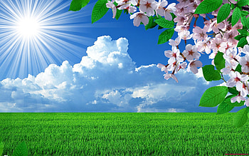 Nature Spring Flowers Landscapes Trees Sky Landscape Background HD wallpaper