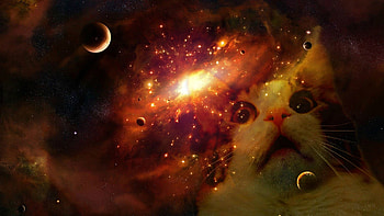 Space cat (my first attempt at hop) ... HD wallpaper