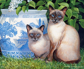 The Cats, cats, two, paint, plants HD wallpaper
