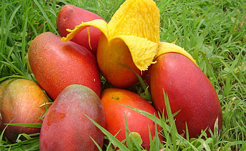 Pile, Mangos HD wallpaper