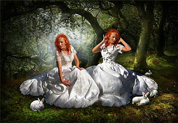 Friends, white, girls, forest HD wallpaper