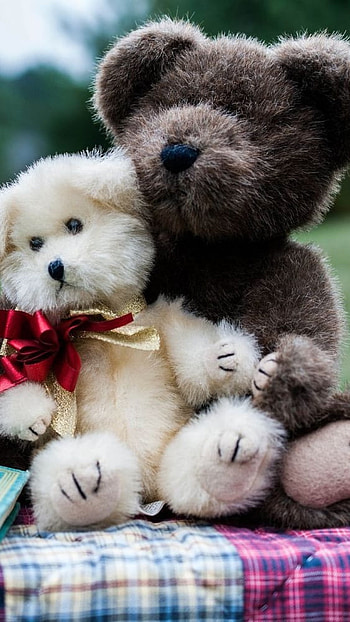 Teddy Bear Wale, Brown, White, Teddy HD phone wallpaper