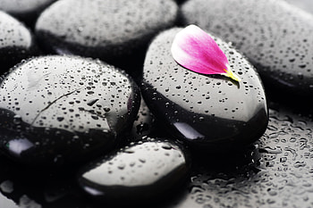 Background, Stones, Drops HD wallpaper
