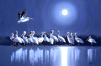 White Pelicans in Full Moon, blue, full moon, birds, spring, reflections, animals, moons, white, pelicans, paintings, beautiful, love four seasons, lakes, cool, nature, romantic, lovely HD wallpaper