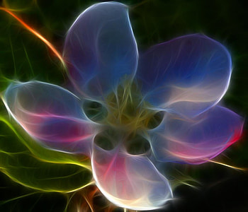 Flower, abstract HD wallpaper