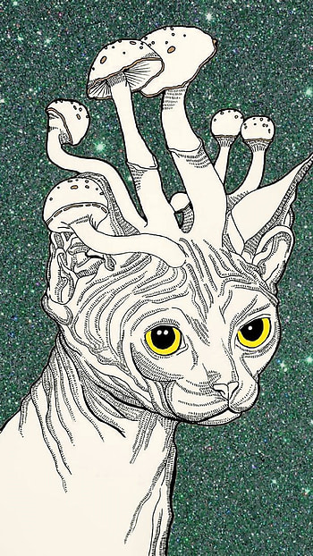 trippy stoner, cat, mushrooms, art HD phone wallpaper