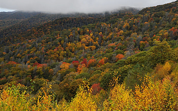 Great Smoky Mountains, , Majestic landscapes, Breathtaking views HD wallpaper