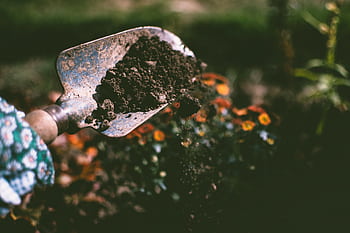Close-up of a gardening shovel with soil, surrounded by vibrant blooms in an outdoor garden setting. HD wallpaper