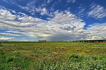 Landscape, Nature, Sky, Summer, Field HD wallpaper