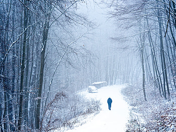 Nature, Snow, Forest, Loneliness, Lonely, Alone HD wallpaper