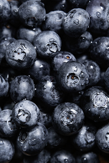 Food, Blueberry, Bilberries, Drops, Berries HD phone wallpaper