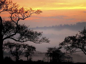Landscape, Trees HD wallpaper