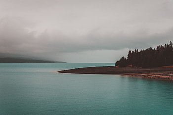 Nature, Trees, Sea, Shore, Bank HD wallpaper