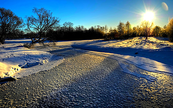 WINTER SUNSHINE, winter, sunshine, frost, morning, trees HD wallpaper