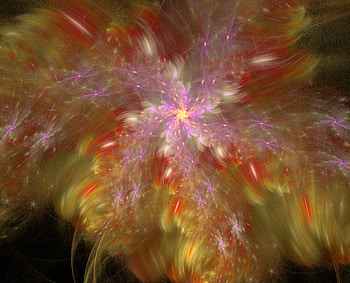 Oh My Favourite, pink, abstract, pretty, flower, soft, fractal HD wallpaper