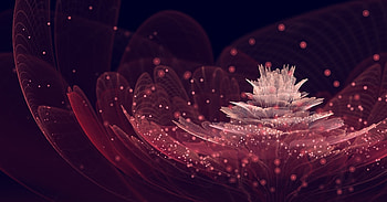 Abstract, Flower, Shine, Petals, Brilliance, Points, Point HD wallpaper