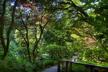 Nature, Trees, Shadow, Garden, Steps, Handrail, Railings HD wallpaper