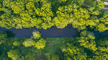 Nature, Rivers, Trees, View From Above HD wallpaper