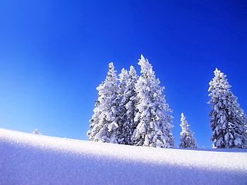 Winter, Nature, Snow, Mountain, Rise, Ate, Elevation HD wallpaper