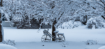 Winter, tree, bicycle, snowfall HD wallpaper