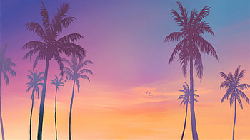 Gta 6 Palms Trees, gta-6, gta-vi, gta, rockstar, games, xbox-games, ps5-games, pc-games, 2024-games, video-games HD wallpaper