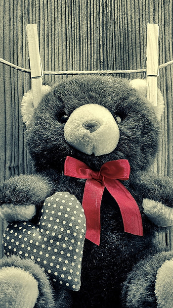 Teddy Bear Ka, Black And White, Background HD phone wallpaper