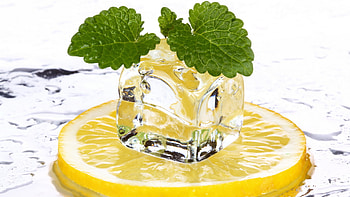 Ice and mint, Lemons HD wallpaper