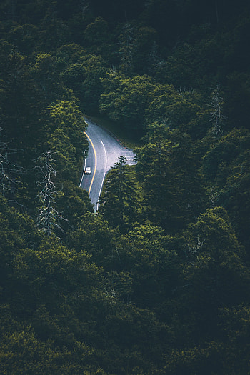 Nature, Trees, View From Above, Road, Car, Movement, Traffic HD phone wallpaper