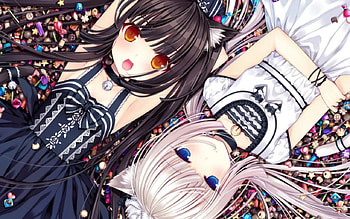 neko girls, cats, kawaii, cute, nice HD wallpaper