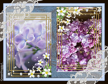 LILACS AND LACE, LILACS, LACE, FRAMED HD wallpaper