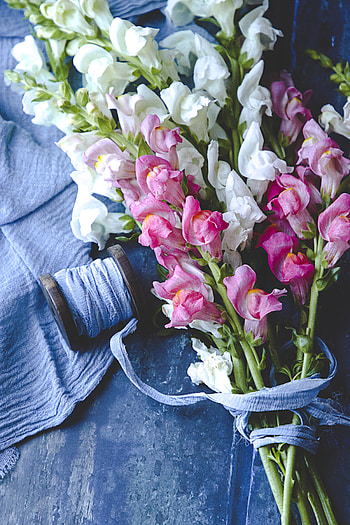 Flowers, Pink, Bouquet, Thread HD phone wallpaper