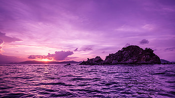 Pelican Island Sunset, sunset, island, nature HD wallpaper