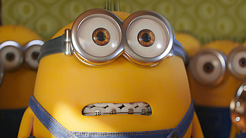 Bob, Minions HD wallpaper