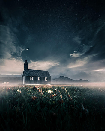 Nature, Flowers, Stars, Moon, Fog, House HD phone wallpaper