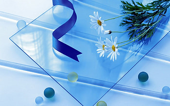 Camomiles, blue, white, reflection, nature, flowers HD wallpaper