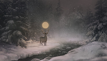 Deer, nature, art, fantasy HD wallpaper
