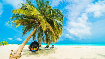 Aruba Island, Island adventures, Unforgettable experiences, Memorable journeys HD wallpaper