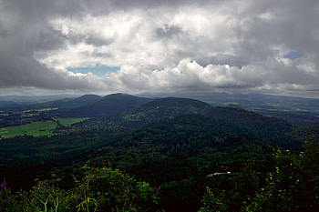 Nature, Trees, Sky, Bush, Hills HD wallpaper