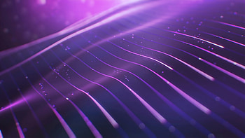 Purple lines, surface, digital art, abstract HD wallpaper